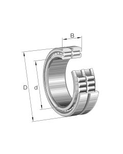 Ložisko SL045007 PP INA